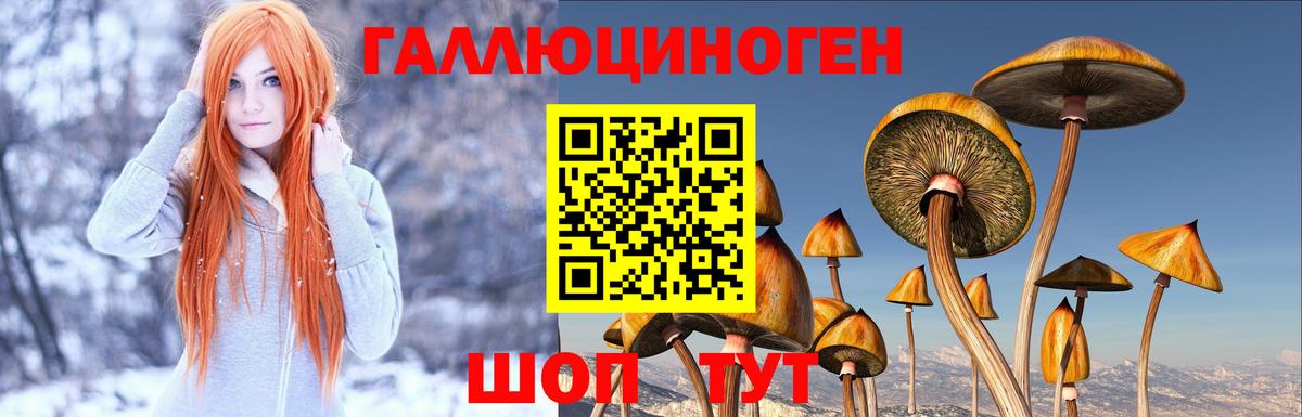 Галлюциногенные грибы MAGIC MUSHROOMS Нижний Тагил